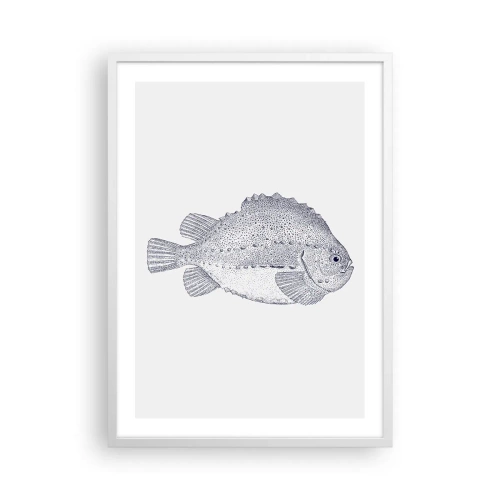 Affisch i vit ram - Till naturforskarens album - 50x70 cm