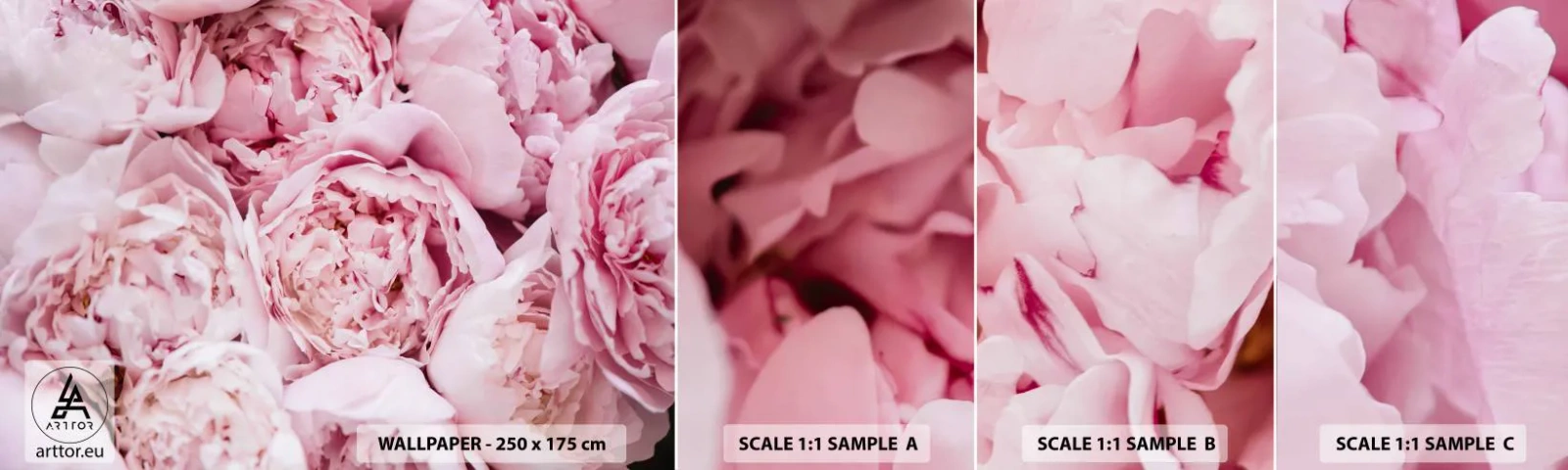 Fototapet Prov Standard Eco - Hopklämda och doftande - Pion, Blommor, Blombukett - 100x30 cm