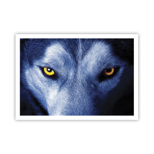 Affisch - Hypnotiserade titt - 100x70 cm