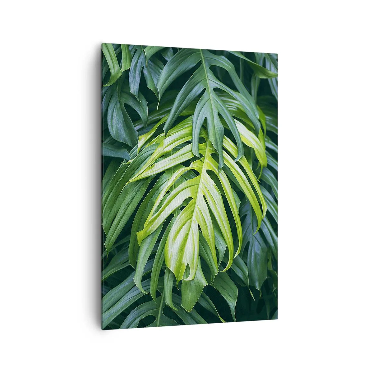 Canvastavla - Bild på duk - Doppa sig i fräschheten - 70x100 cm