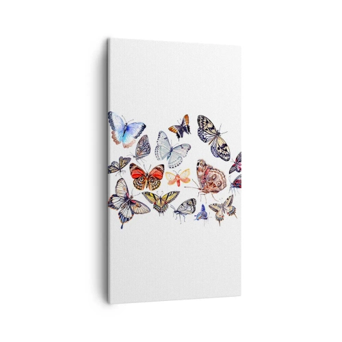 Canvastavla - Bild på duk - Färgglada fjärilar - 45x80 cm