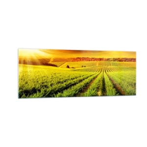 Glastavla - Bild på glas - Under australiensiska solen - 140x50 cm