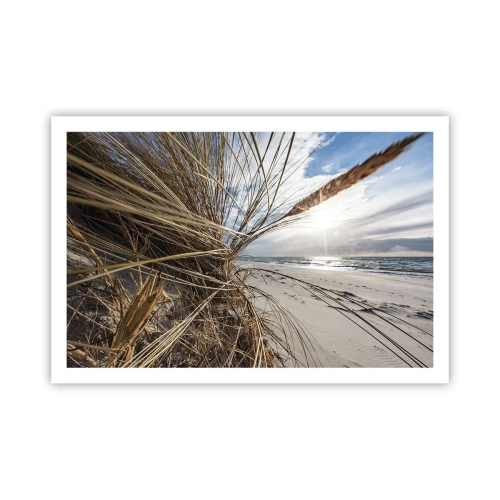 Affisch - Elementens möte - 91x61 cm