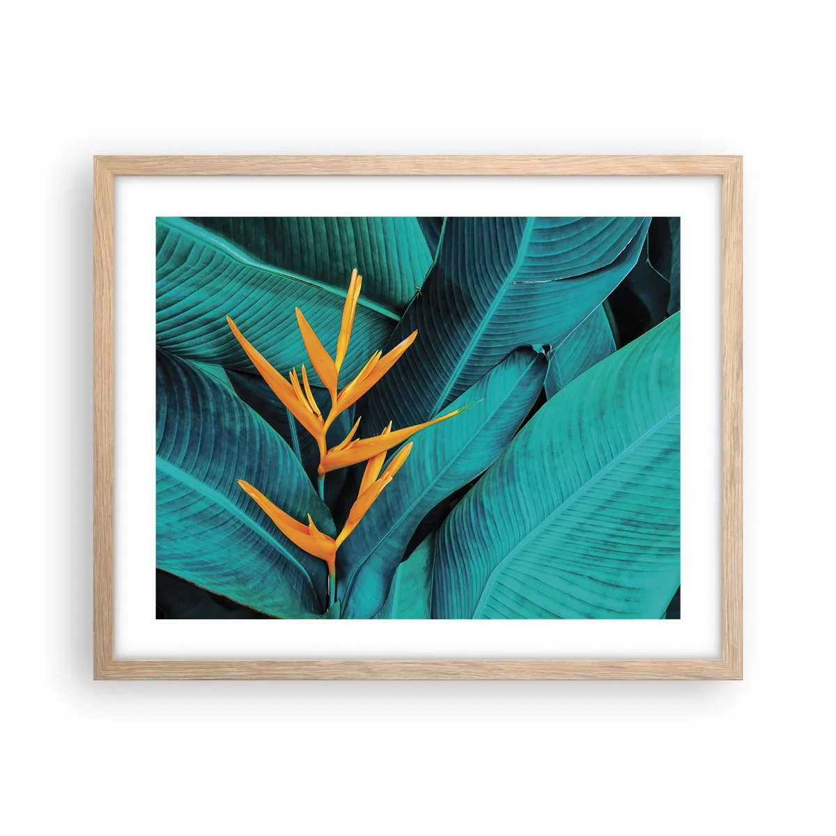 Affisch i ram av ljusek - Edens blomma - 50x40 cm