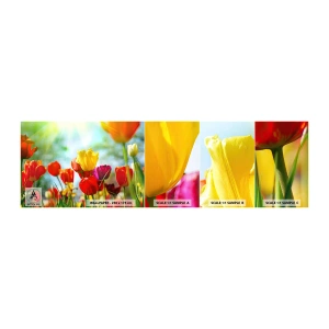 Provbit av självhäftande fototapet Deluxe Sticker - Solens alla färger - Tulpaner, Blommor, Äng - 100x30 cm