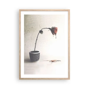 Affisch i ram av ljusek - Rosa dolorosa - 50x70 cm