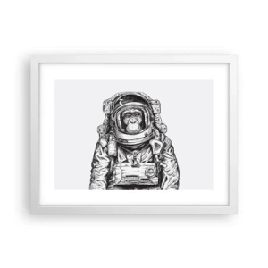 Affisch i vit ram - Alternativ evolution - 40x30 cm