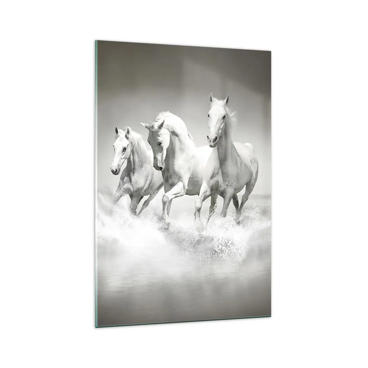 Glastavla - Bild på glas - Vit vildhet - 70x100 cm