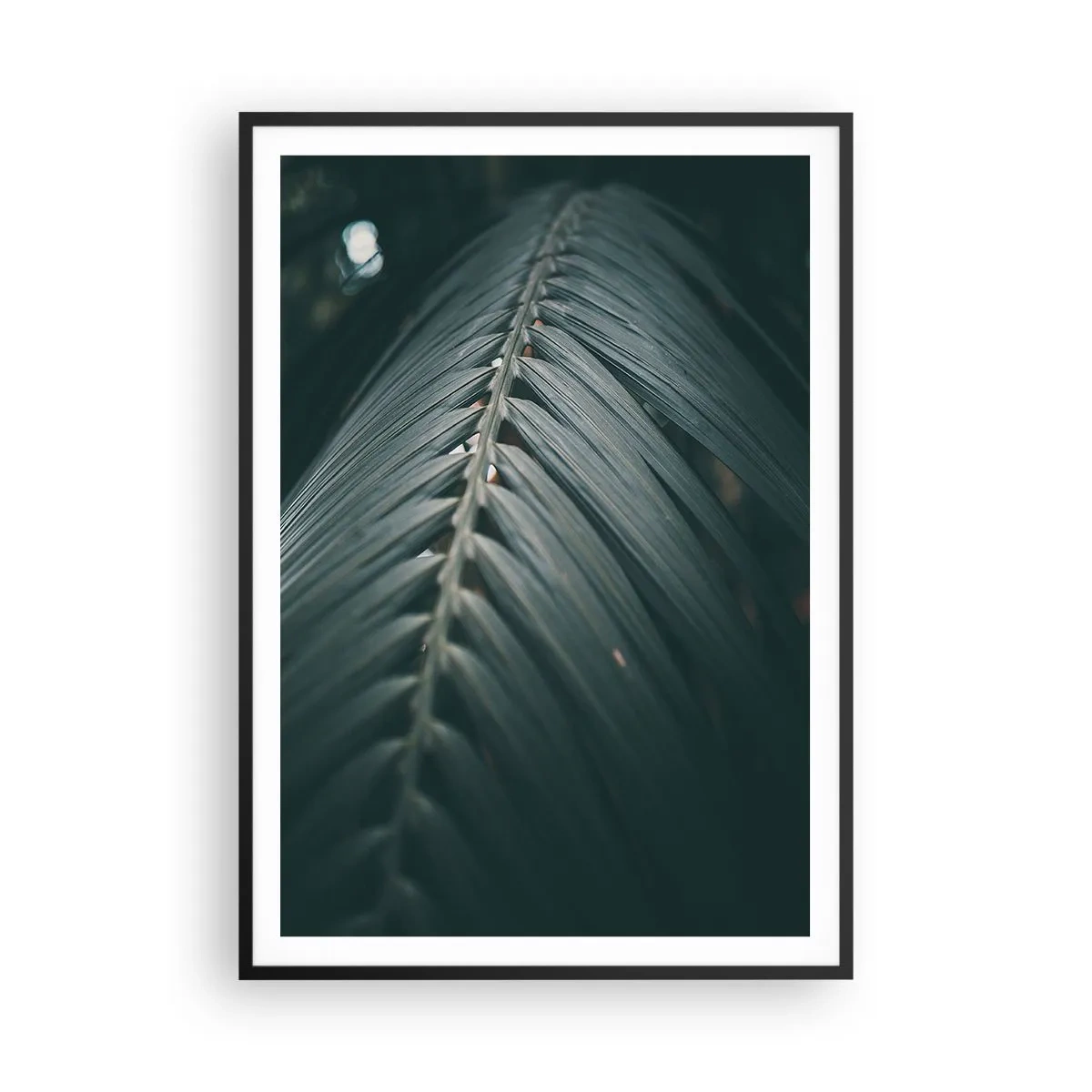 Affisch i svart ram - Naturens precision - 70x100 cm