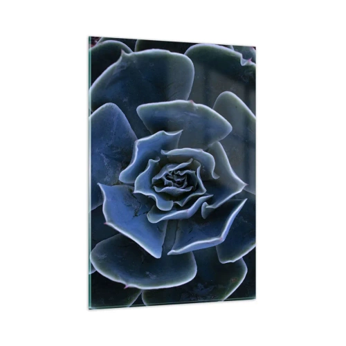 Glastavla - Bild på glas - Öknens blomma - 80x120 cm