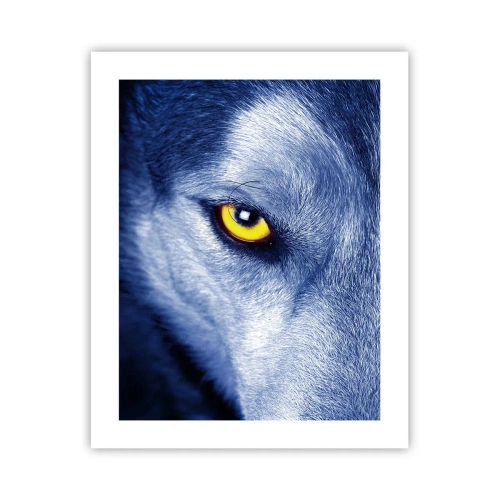 Affisch - Hypnotiserade titt - 40x50 cm