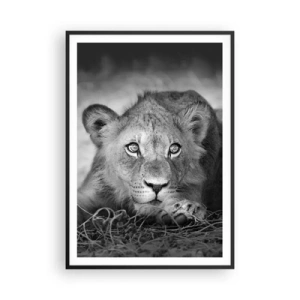 Affisch i svart ram - Kunglig valp - 70x100 cm