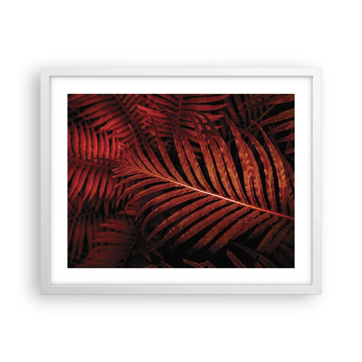 Affisch i vit ram - Livets glöd - 50x40 cm