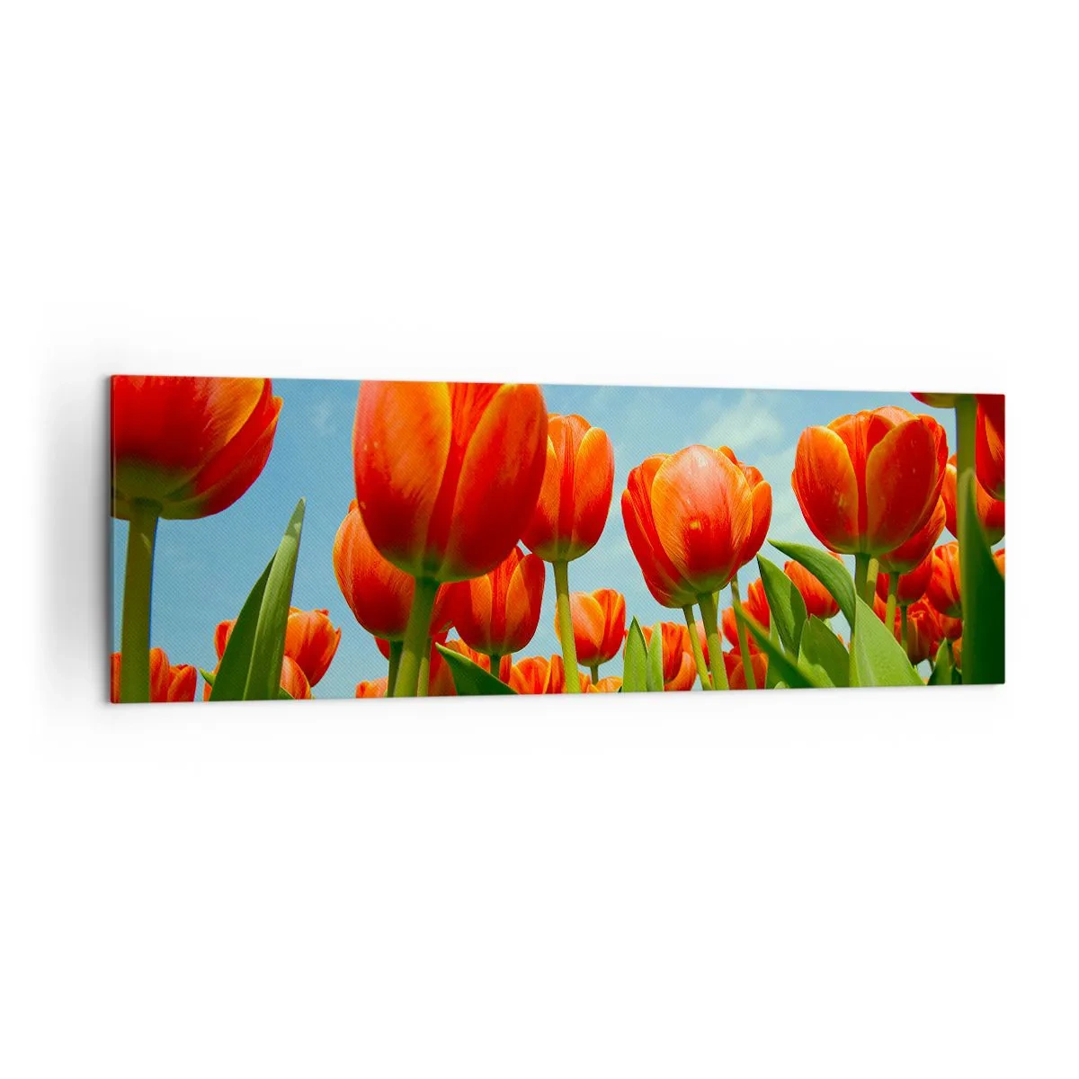 Canvastavla - Bild på duk - Förutom blå himmel behöver vi inget annat i livet - 160x50 cm