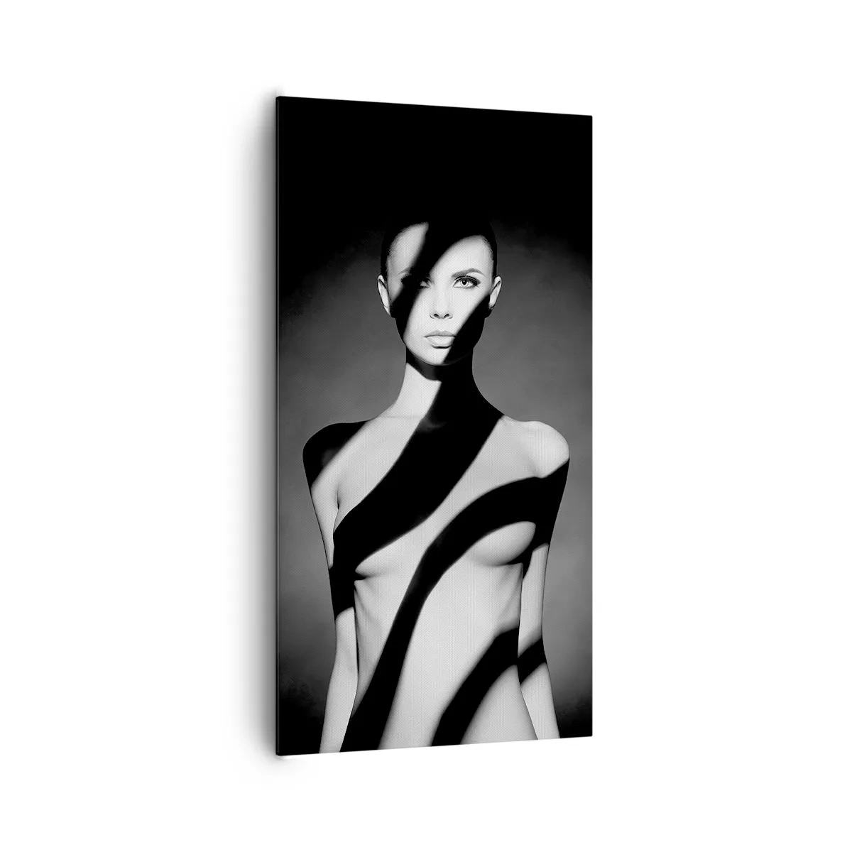 Canvastavla - Bild på duk - I skenet och i skuggan - 65x120 cm