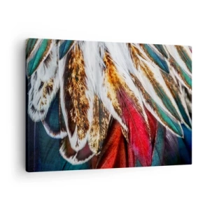Canvastavla - Bild på duk - Närbild av flerfärgade fjädrar i livfulla, intensiva färger - 70x50cm - flyghemligheter - Modern väggdekoration för vardagsrum och sovrum ARTTOR