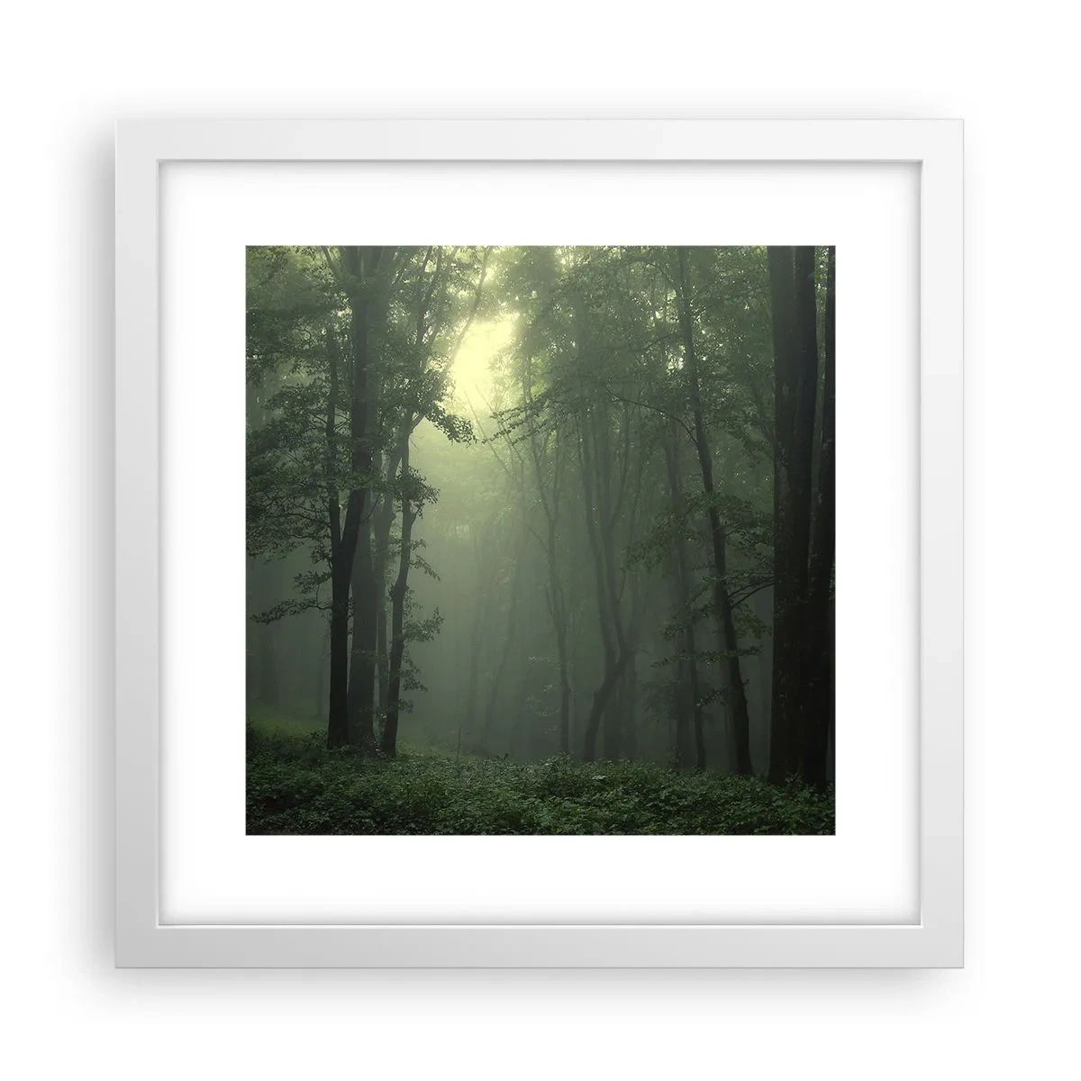 Affisch i vit ram - Innan skogen vaknar - 30x30 cm