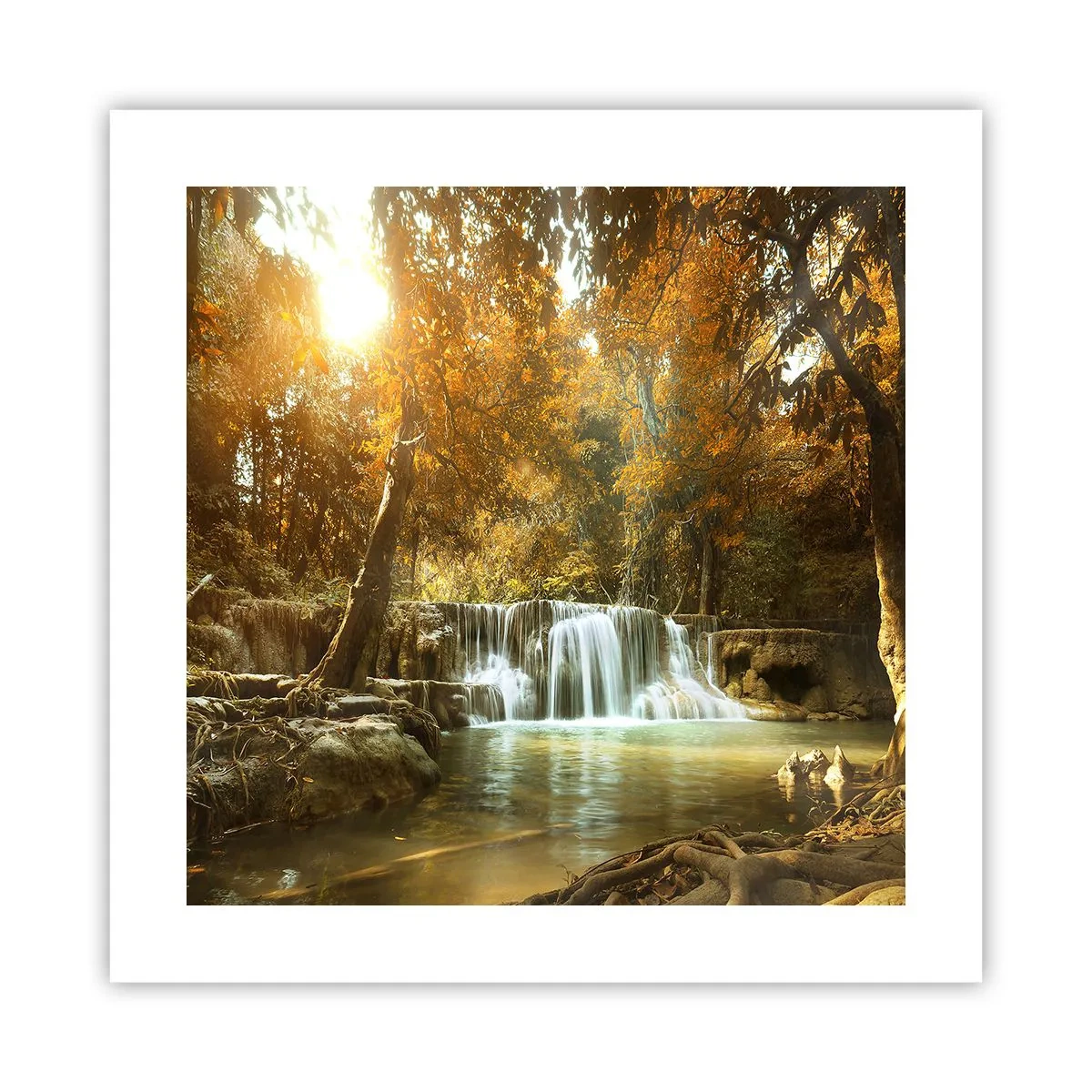 Affisch - Parkkaskad - 40x40 cm