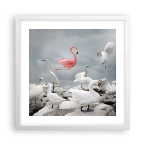 Affisch i vit ram - Hur har jag hamnat här? - 40x40 cm