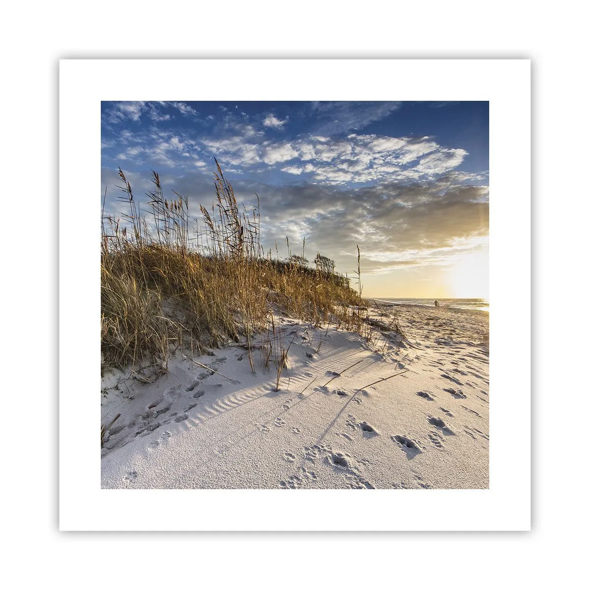 Affisch - Inbjudan till promenad - 40x40 cm