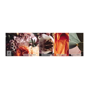 Fototapet Prov Standard Eco - Omgärdade av skönhet - Blommor, Blombukett, Reste sig - 100x30 cm