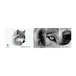 Provbit av fototapet Premium Canvas - Alfa - utan tvekan - Varg, Djur, skandinavisk - 100x30 cm