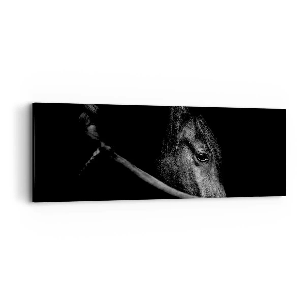 Canvastavla - Bild på duk - Svart prins - 90x30 cm