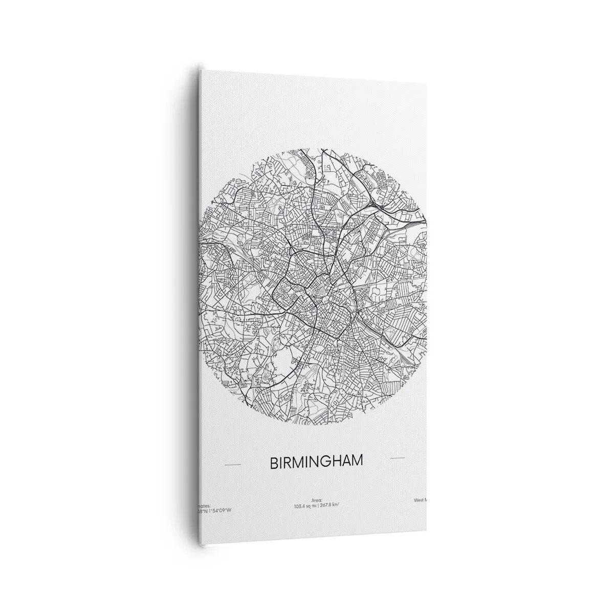 Canvastavla - Bild på duk - Birminghams anatomi - 65x120 cm