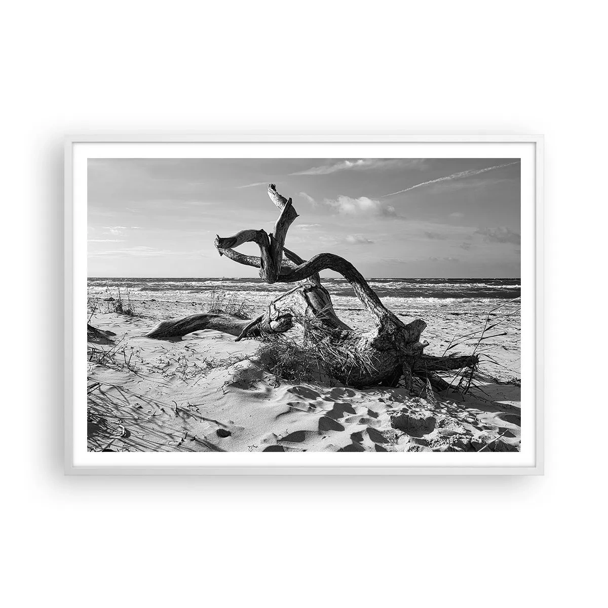 Affisch i vit ram - Havets skulptur - 100x70 cm