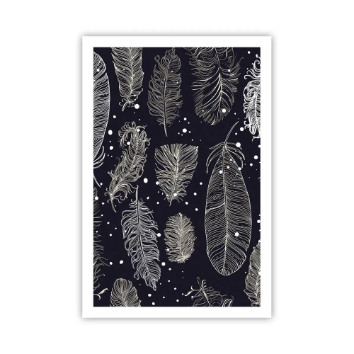Affisch - Fjäderspets - 61x91 cm