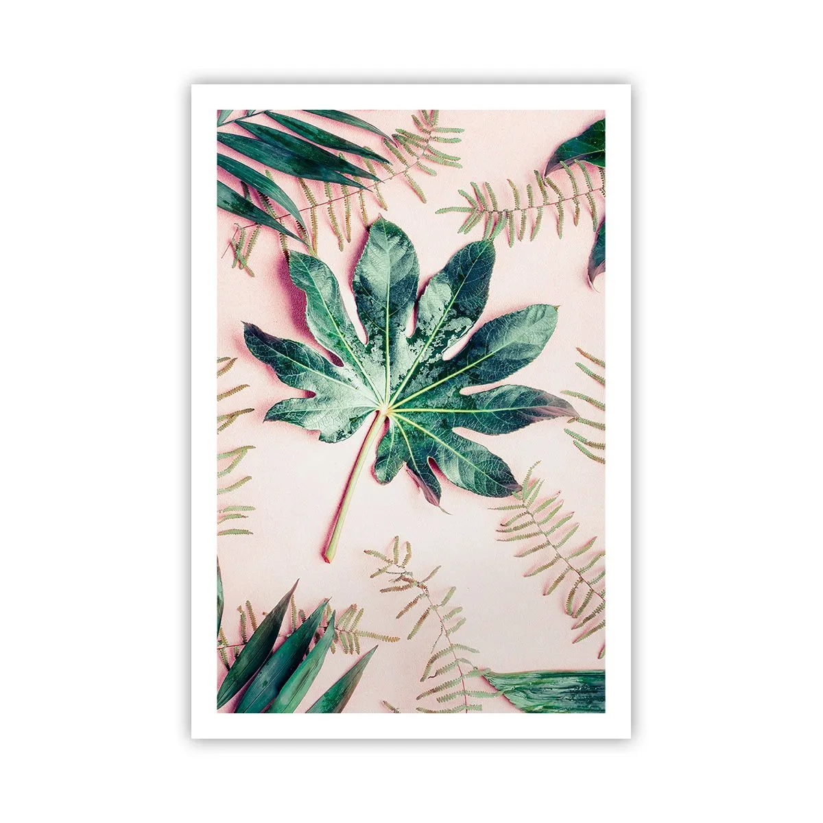 Affisch - Grönskans studie mot rosa bakgrund - 61x91 cm