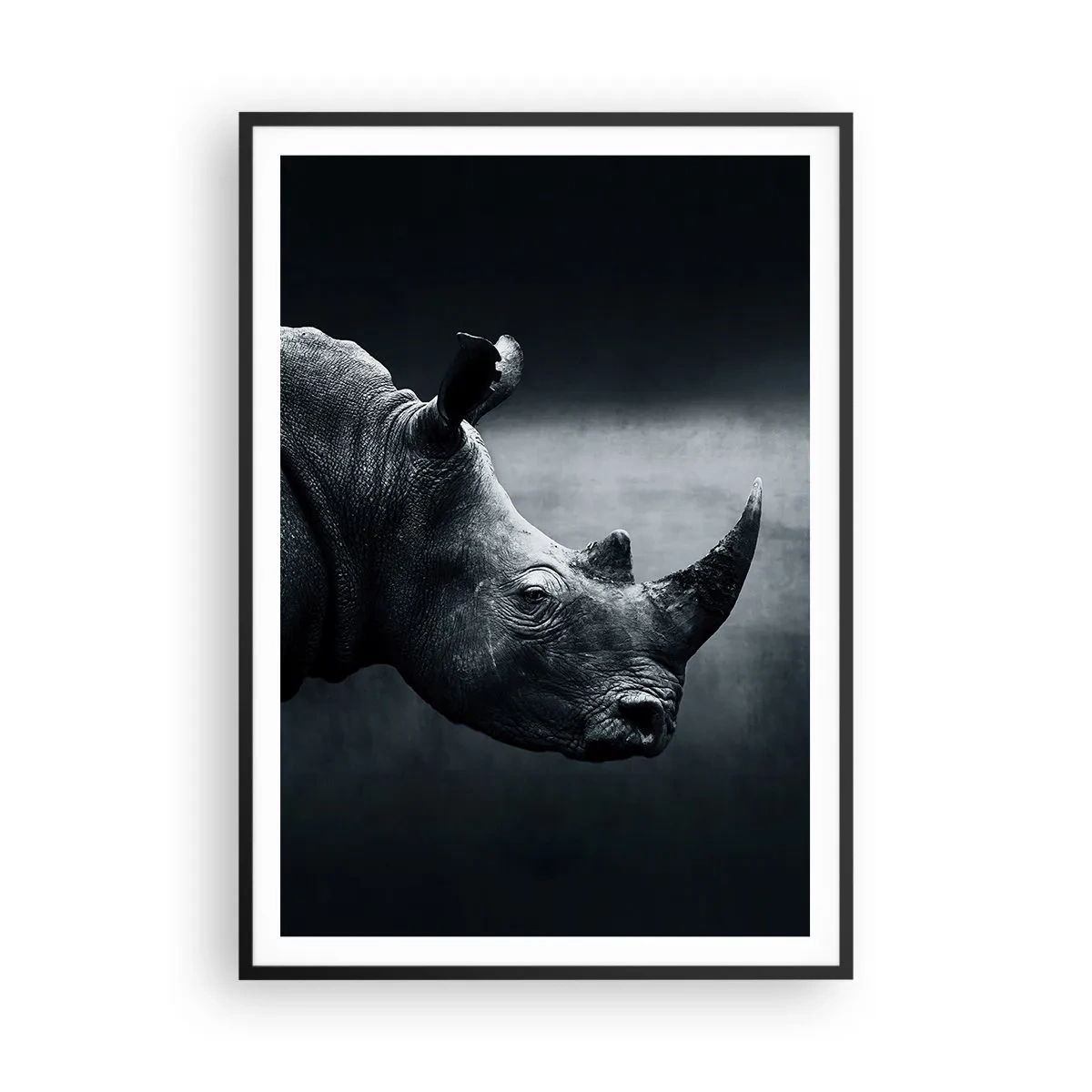Affisch i svart ram - Höger profil - 70x100 cm