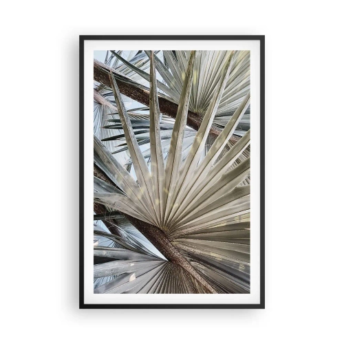 Affisch i svart ram - Solfjädrarna i tropikerna - 61x91 cm