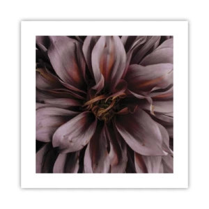 Affisch - Blommigt hjärta - 40x40 cm