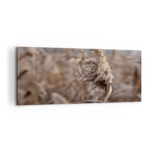 Canvastavla - Bild på duk - Dags att flyga bort med vinden - 120x50 cm