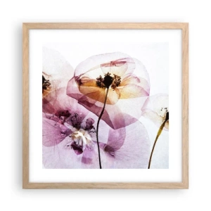 Affisch i ram av ljusek - Blommornas transparenta kroppar - 40x40 cm
