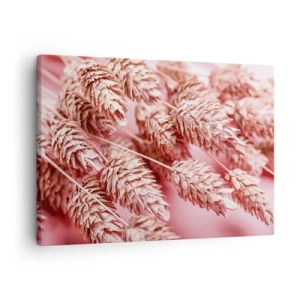 Canvastavla - Bild på duk - Närbild på de rosafärgade öronen - 70x50cm - Blomkaskad i rosa - Modern väggdekoration för vardagsrum och sovrum ARTTOR