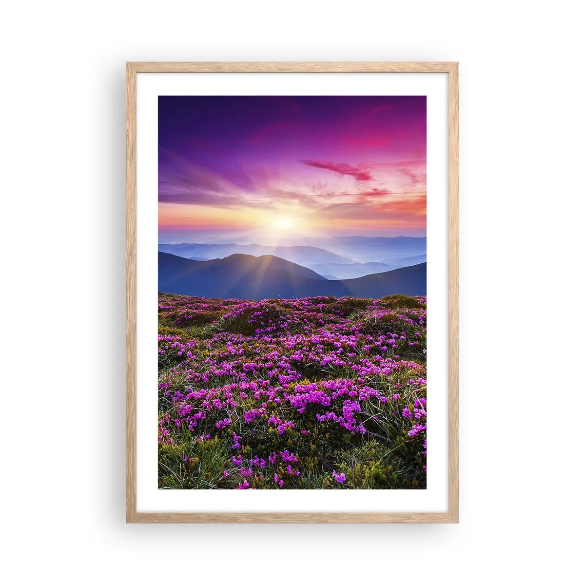 Affisch i ram av ljusek - Doftande örter - 50x70 cm