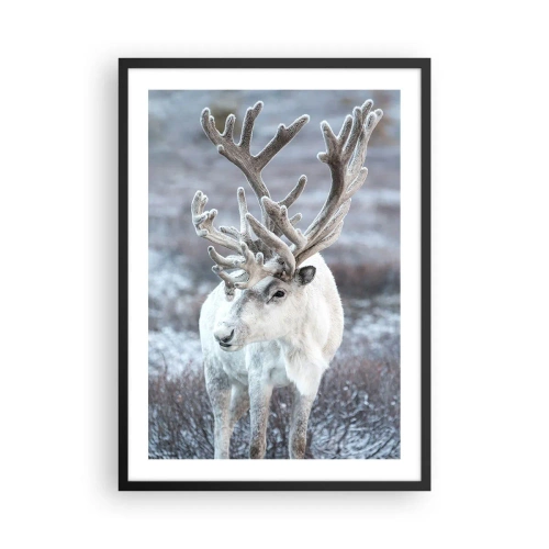 Affisch i svart ram - Vita renar i ett vinterlandskap - 50x70cm - Porträtt i solsken - Modern väggdekoration för vardagsrum och sovrum ARTTOR