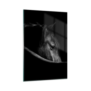 Glastavla - Bild på glas - Svart prins - 80x120 cm