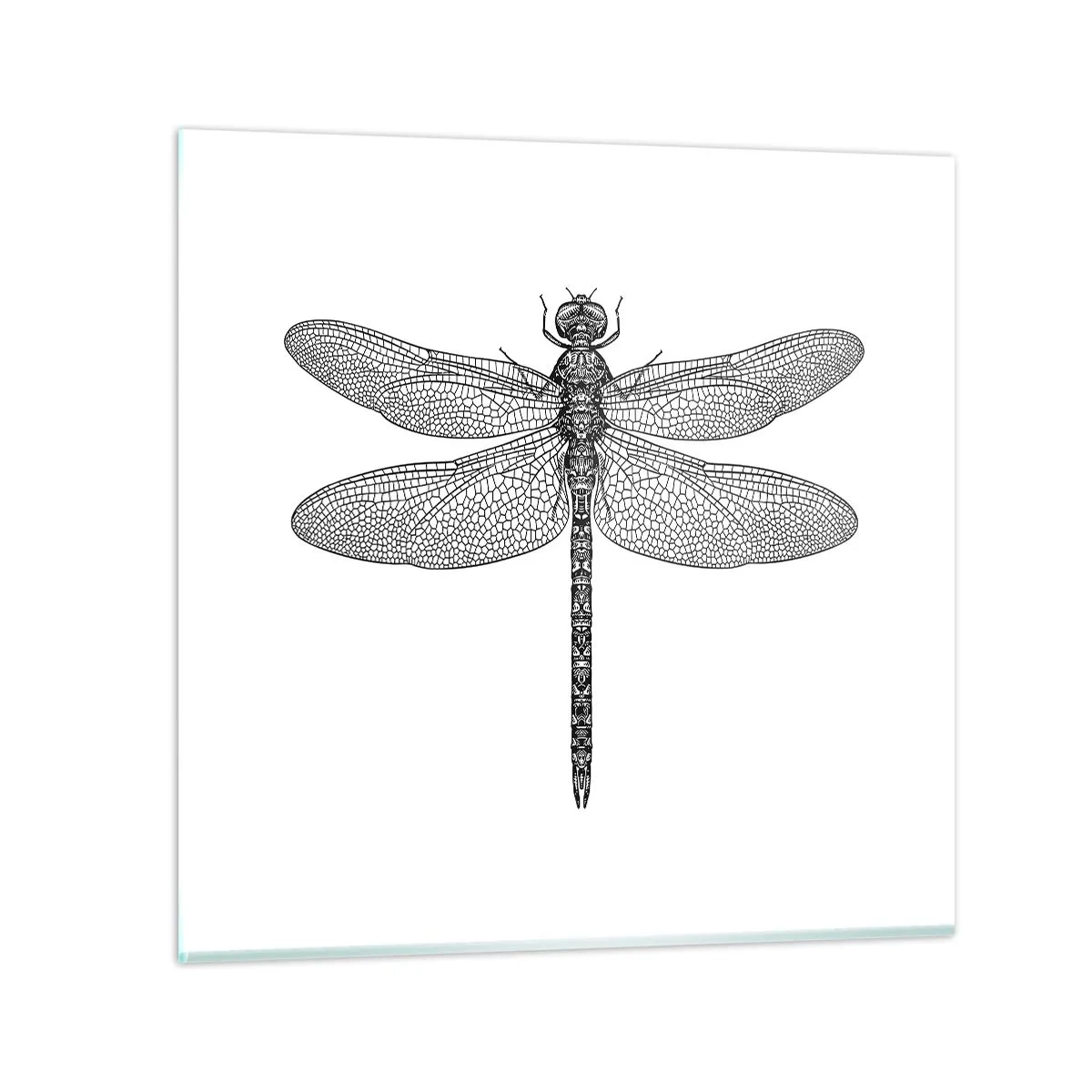 Glastavla - Bild på glas - Precision i naturen - 50x50 cm