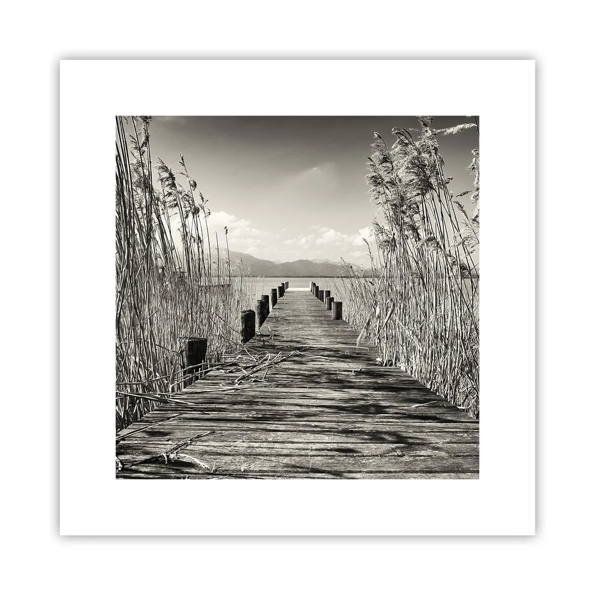 Affisch - I gräsets fristad - 30x30 cm