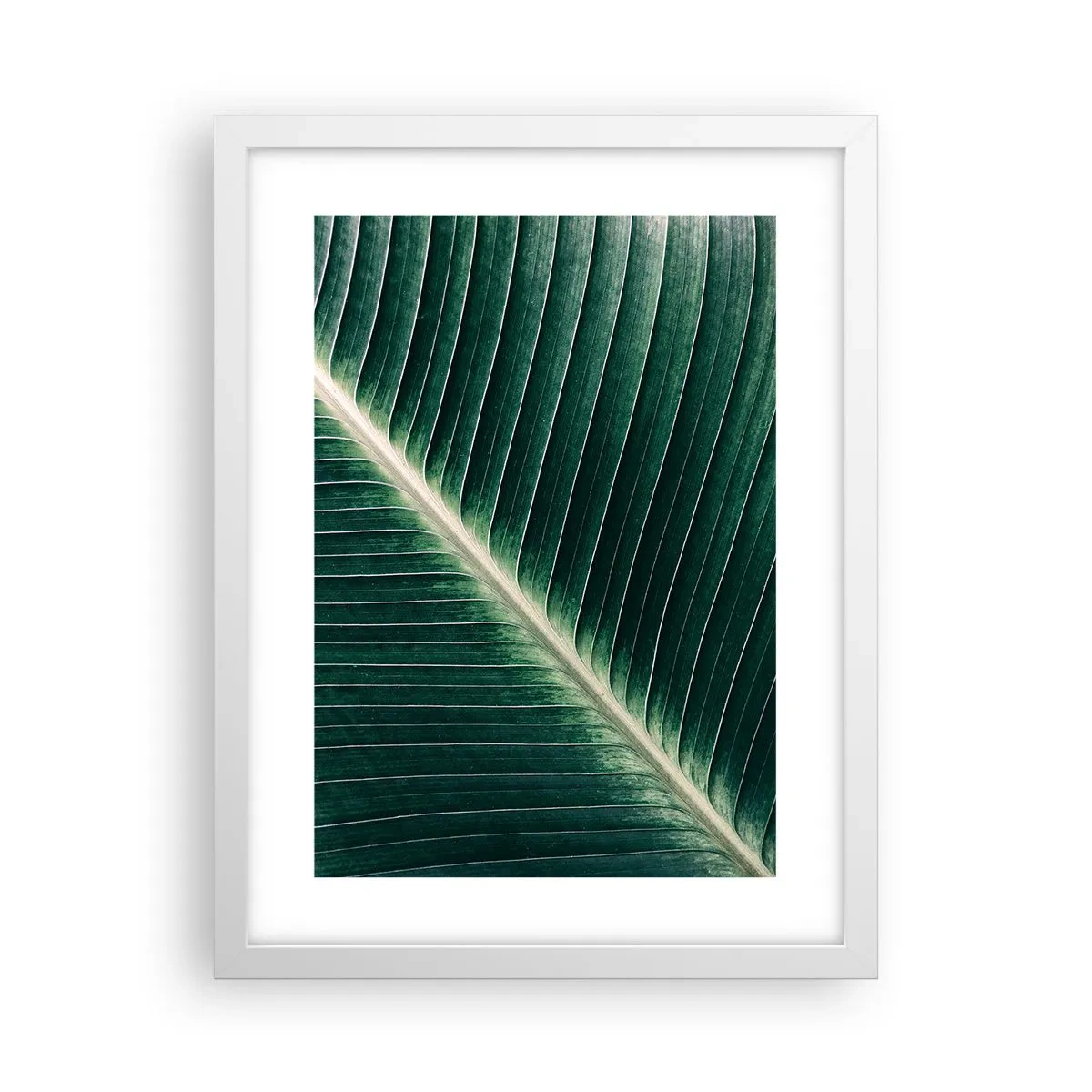 Affisch i vit ram - Naturens rytm - 30x40 cm