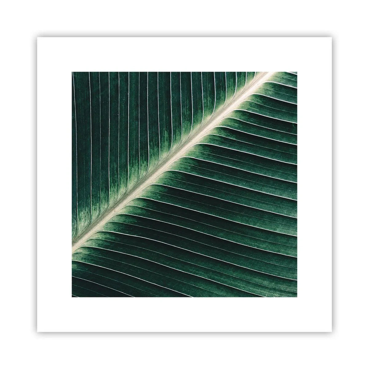 Affisch - Naturens rytm - 30x30 cm