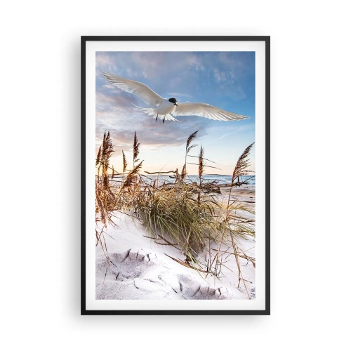 Affisch i svart ram - Vind från havet - 61x91 cm
