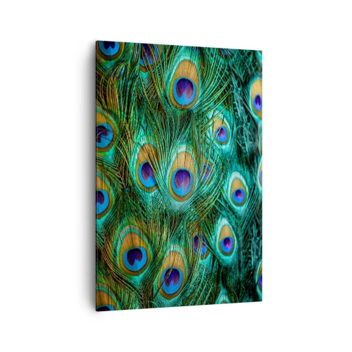 Canvastavla - Bild på duk - Påfågels blick - 70x100 cm