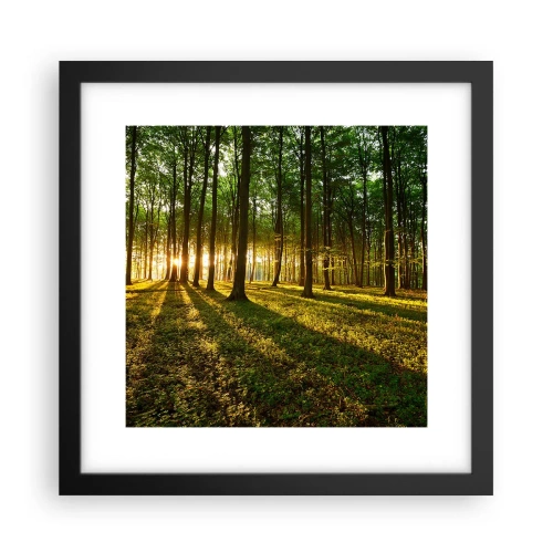Affisch i svart ram - Fotografi av alla vårar - 30x30 cm