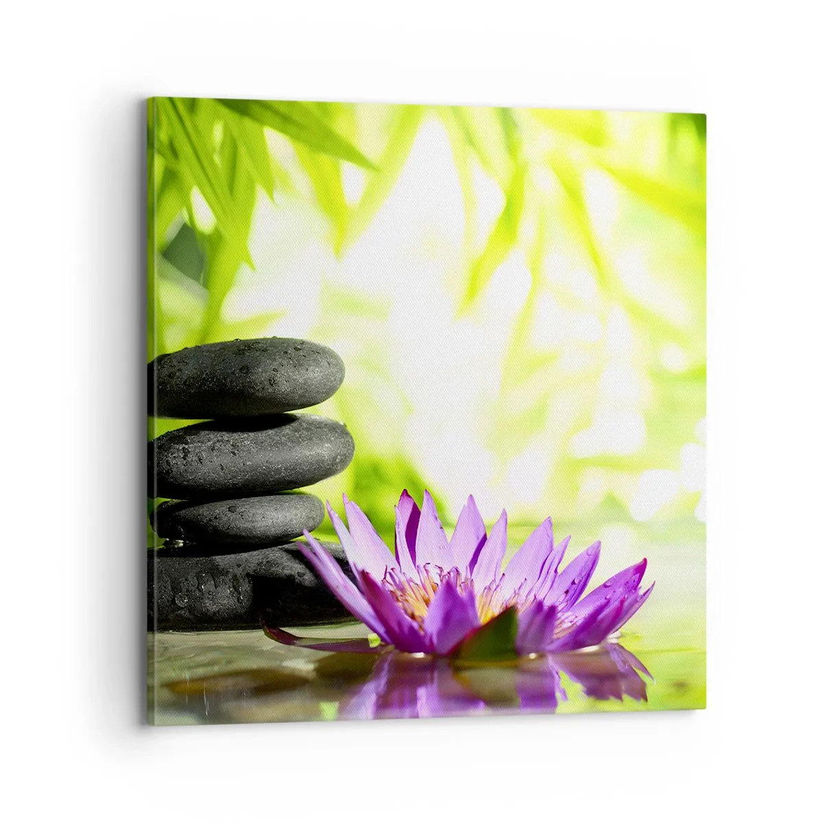 Canvastavla - Bild på duk - I en bambushage - 70x70 cm