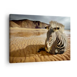 Canvastavla - Bild på duk - En zebra som vilar på en sandstrand med klippor i bakgrunden. - 70x50cm - Vi passar till varandra - Modern väggdekoration för vardagsrum och sovrum ARTTOR