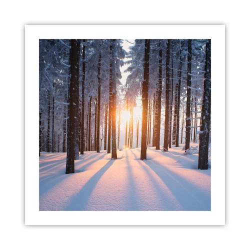 Affisch - Tydligt svart på vitt - 50x50 cm